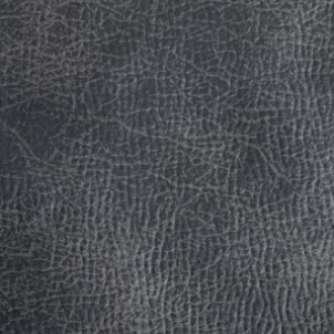 Golden Titan with Twilight Technology