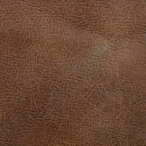 Golden Titan with Twilight Technology