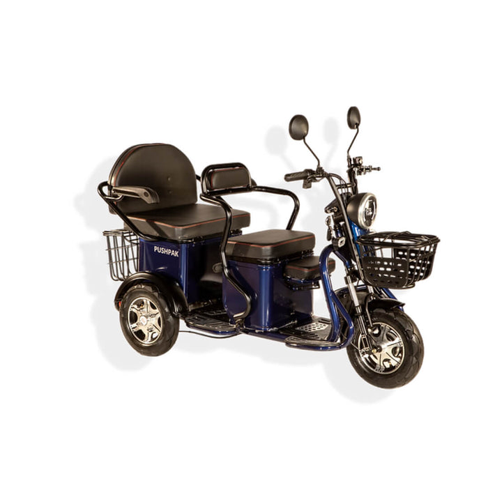 Pushpak 2000 Electric Trike