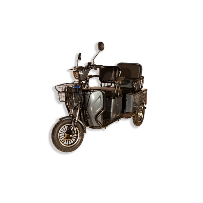 Pushpak 3000 Electric Trike