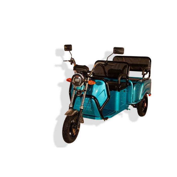 Pushpak 6000 Electric Trike